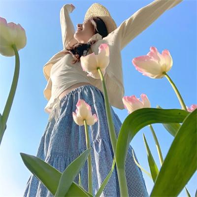 文豪野犬第三季